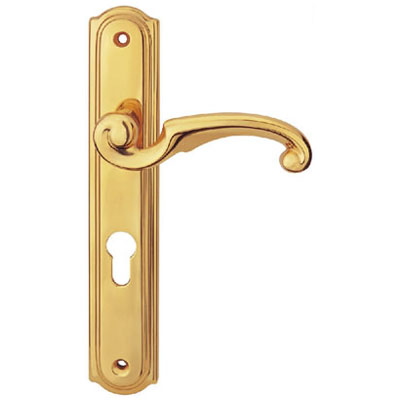 Brass Handle with Plate